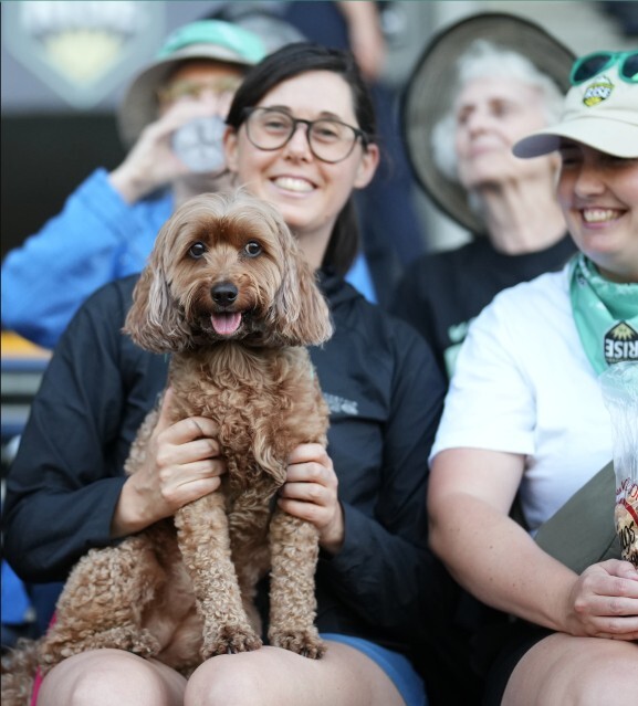 Required-For-Purchase-and-Pup-Entry
