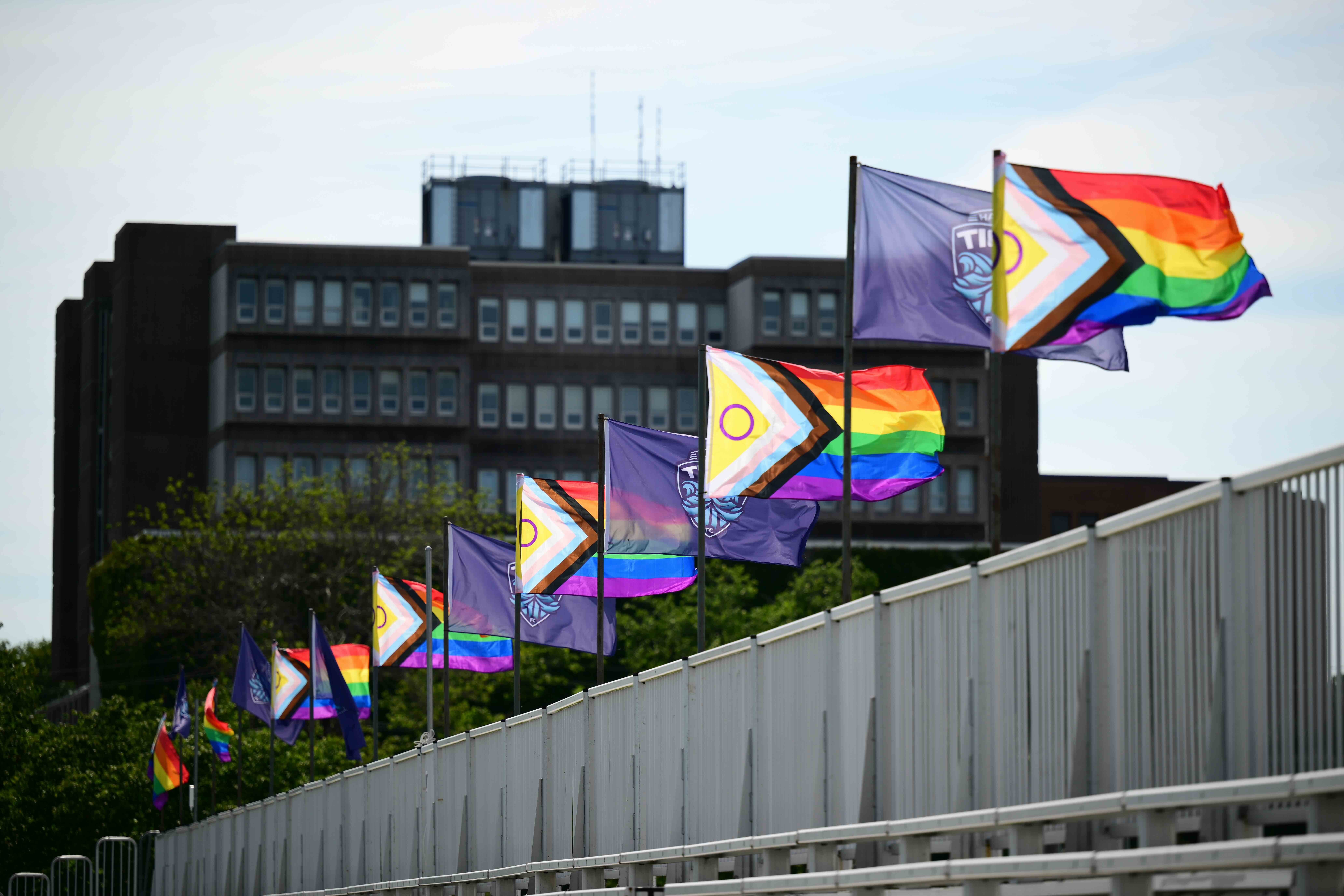Pride Artwork