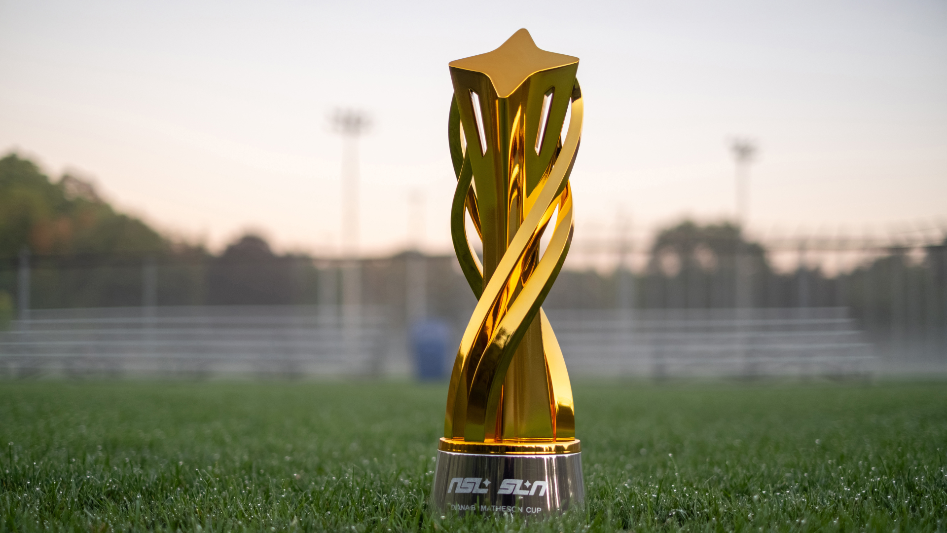 Forged for the Future: The Diana B. Matheson Cup