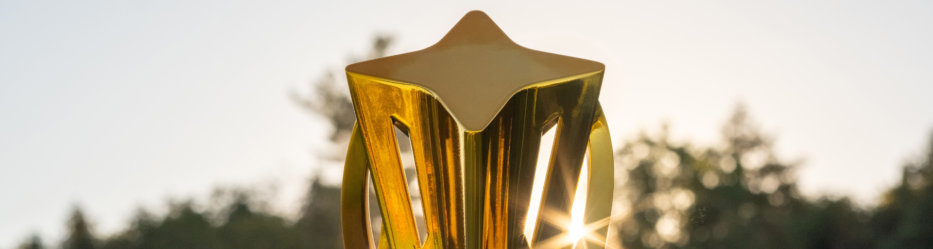 Diana B. Matheson Cup