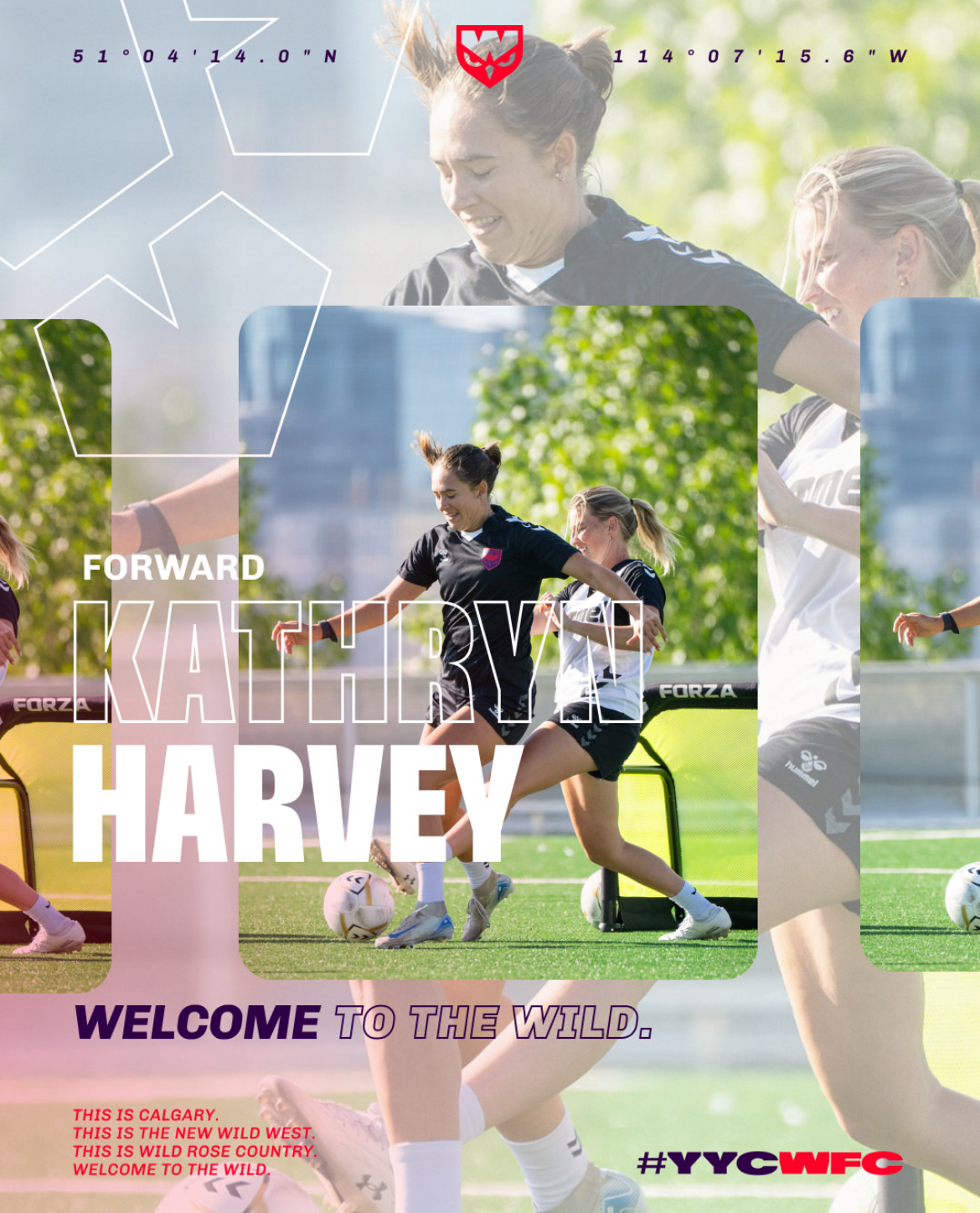 Kathryn Harvey