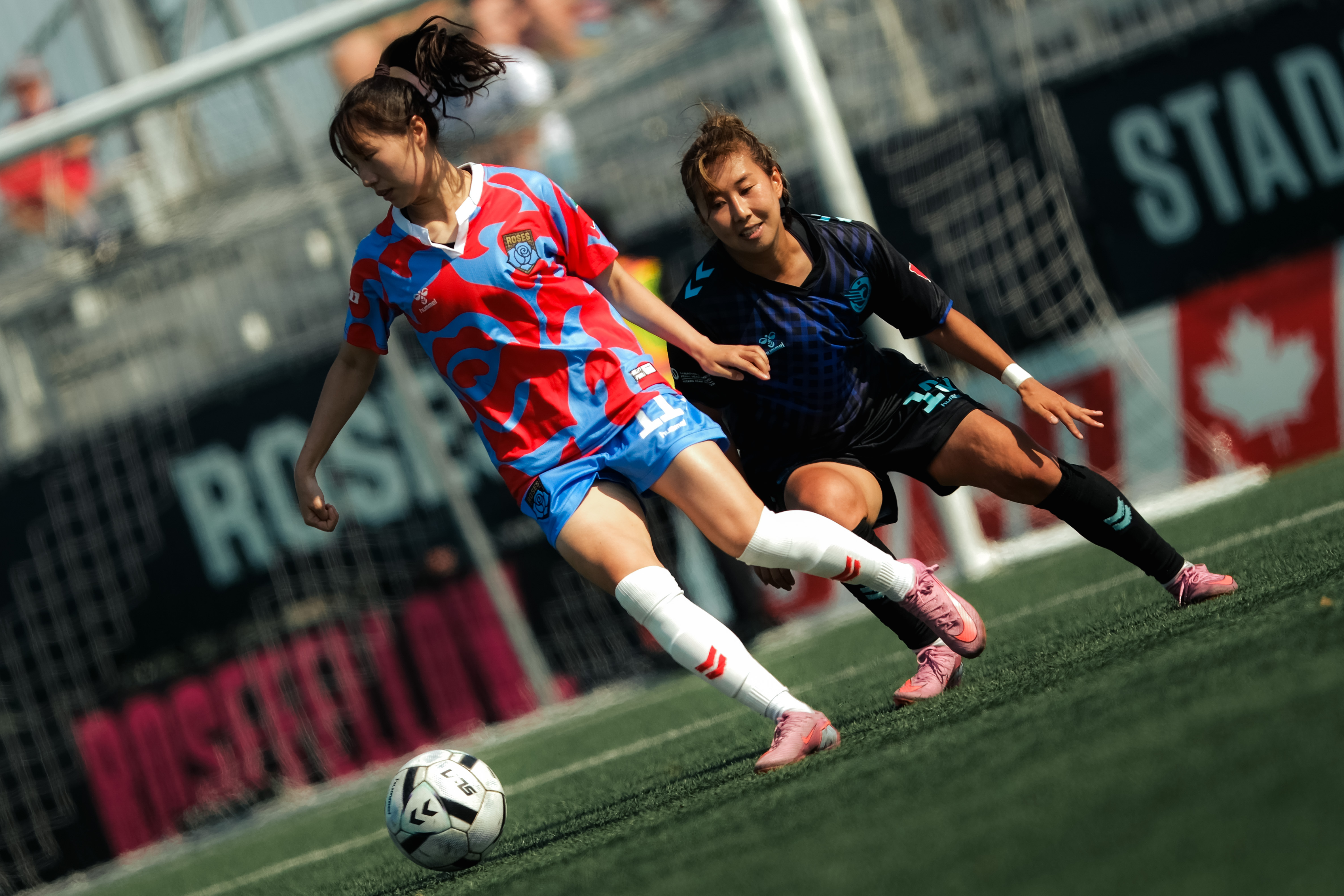 LES ROSES S’INCLINENT À DOMICILE
