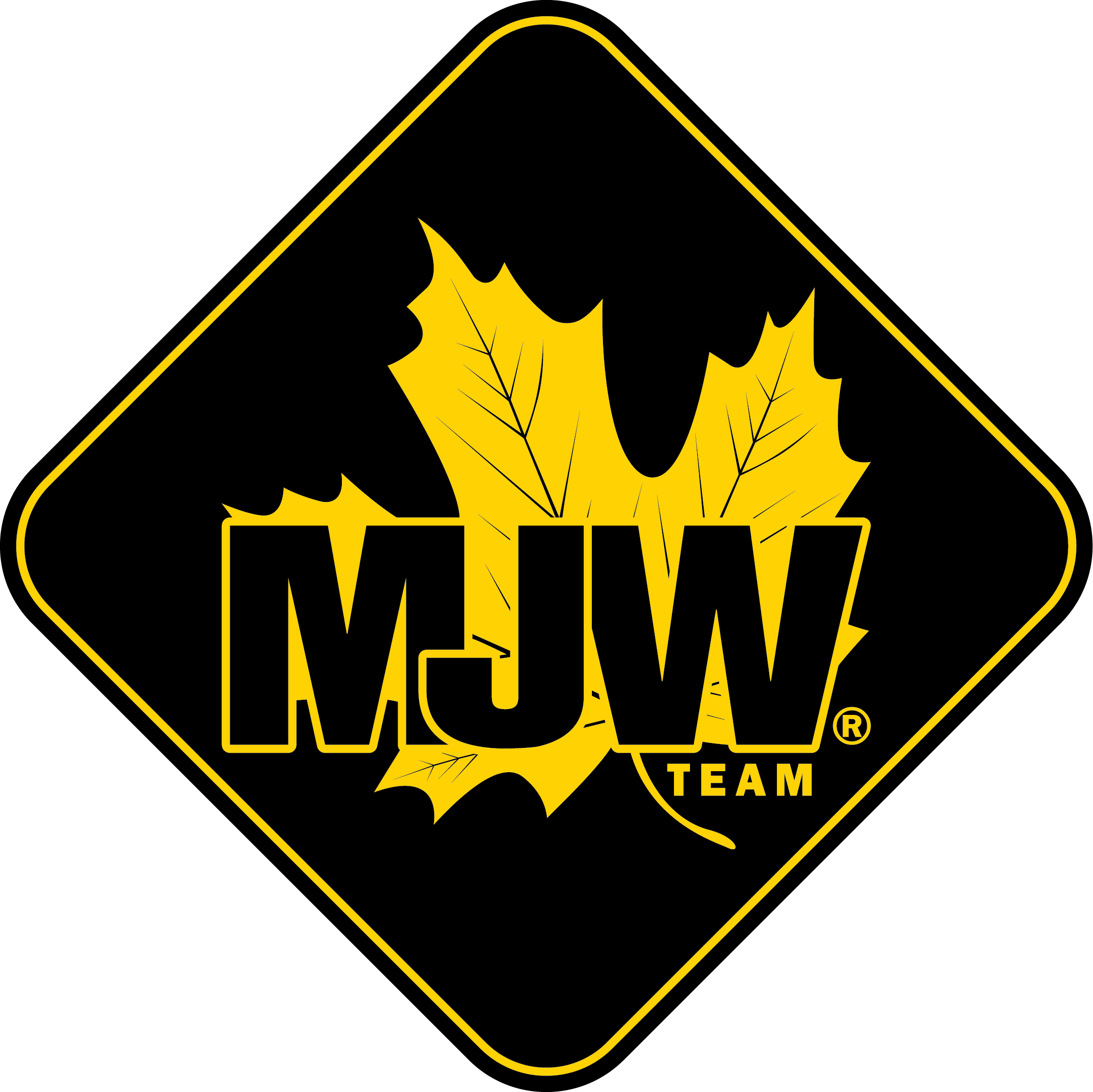 MJW Team